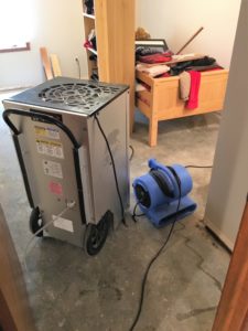 Dehumidifier for Basement